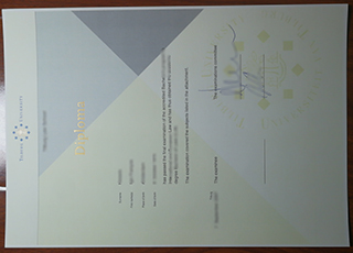 Tilburg University diploma