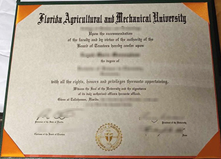 Florida A&M University degree