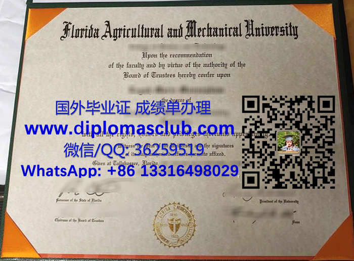 Florida A&M University diploma