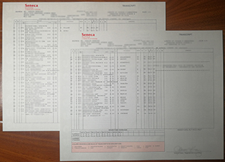 Seneca Polytechnic transcript