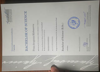 Heinrich Heine University Düsseldorf diploma