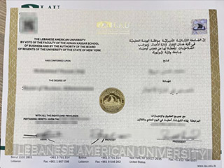 Lebanese American University degree