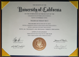 UC Los Angeles degree