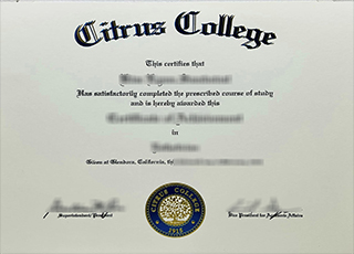 Citrus college degree