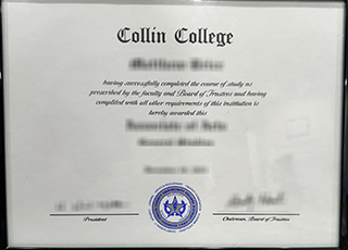 Collin College degree