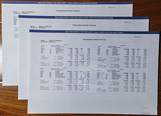 Pennsylvania State University transcript