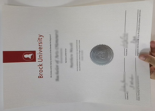 Brock University diploma