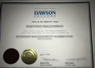 Dawson College degree