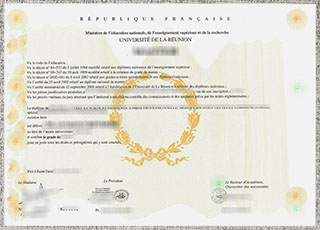 Université de La Réunion diploma