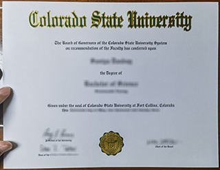 Colorado State University degree