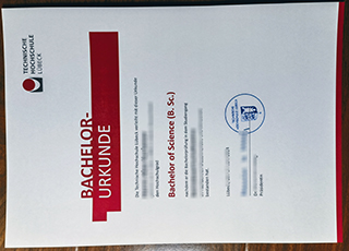 Technische Hochschule Lübeck diploma