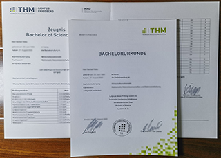 TH Mittelhessen degree and transcript