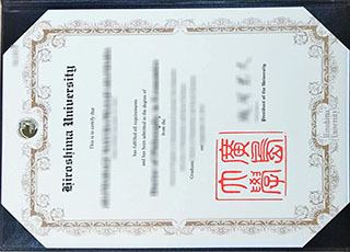 Hiroshima University degree