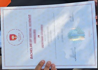 Sol Plaatje University diploma