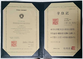 Chubu University degree