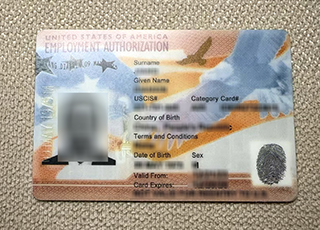 Employment Authorization Card