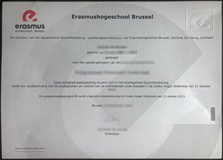 Erasmushogeschool Brussel degree