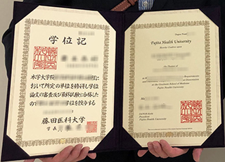 Fujita Health University diploma