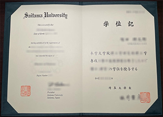 Saitama University degree