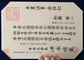 Teikyo University degree