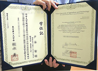 Tokyo University of Agriculture and Technology diploma