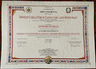 Università di Cassino degree