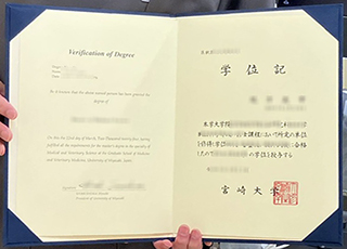 University of Miyazaki degree