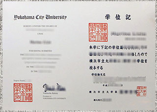 Yokohama City University degree